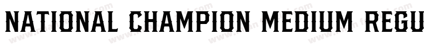 National Champion Medium Regular字体转换